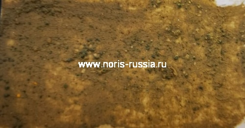 Охра санкирная 50 гр., Натуральный пигмент, Россия фото 3